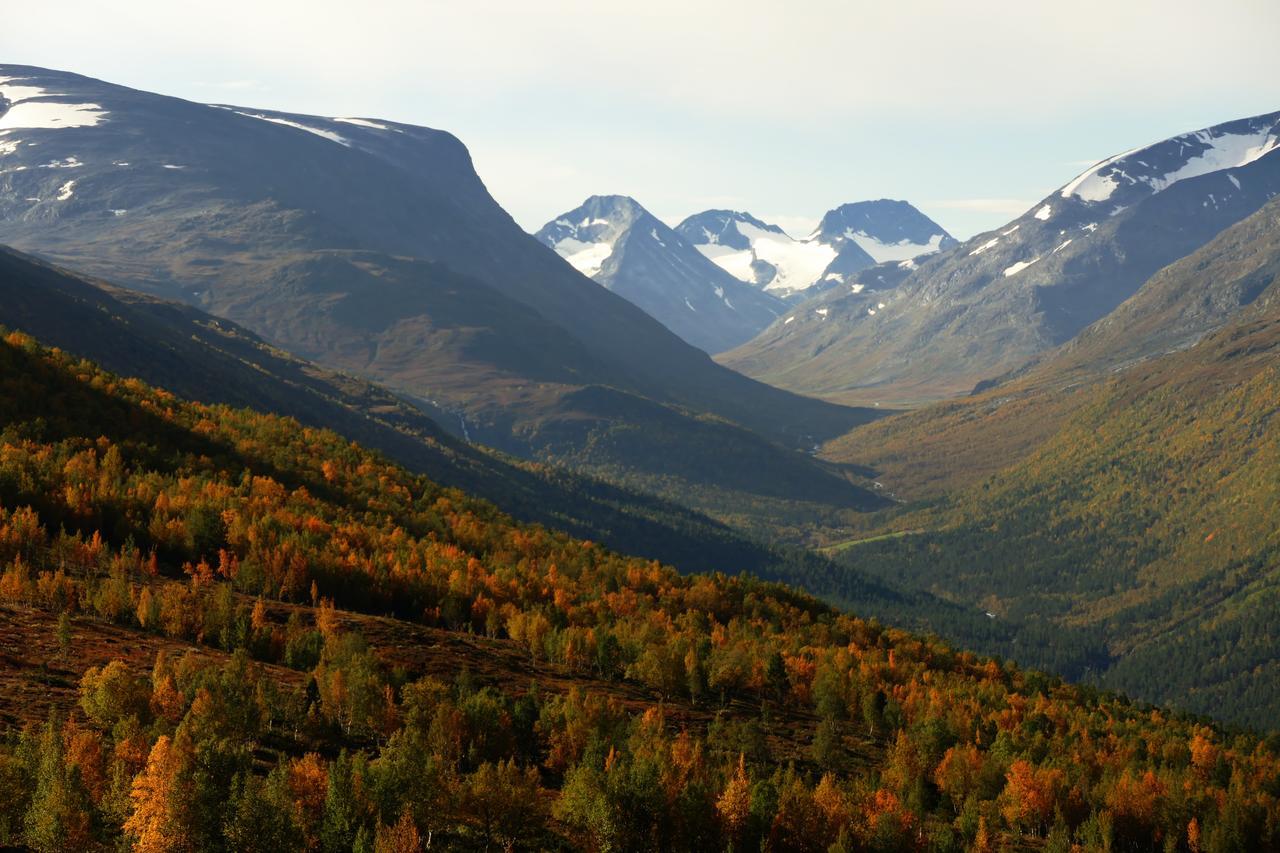 Strind Gard, Visdalssetra Villa Boverdalen Luaran gambar