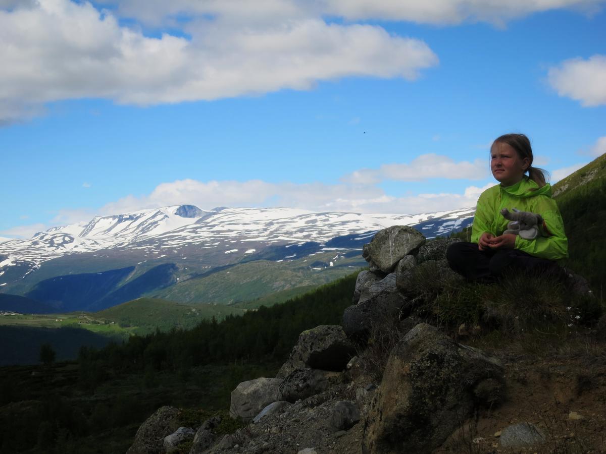 Strind Gard, Visdalssetra Villa Boverdalen Luaran gambar