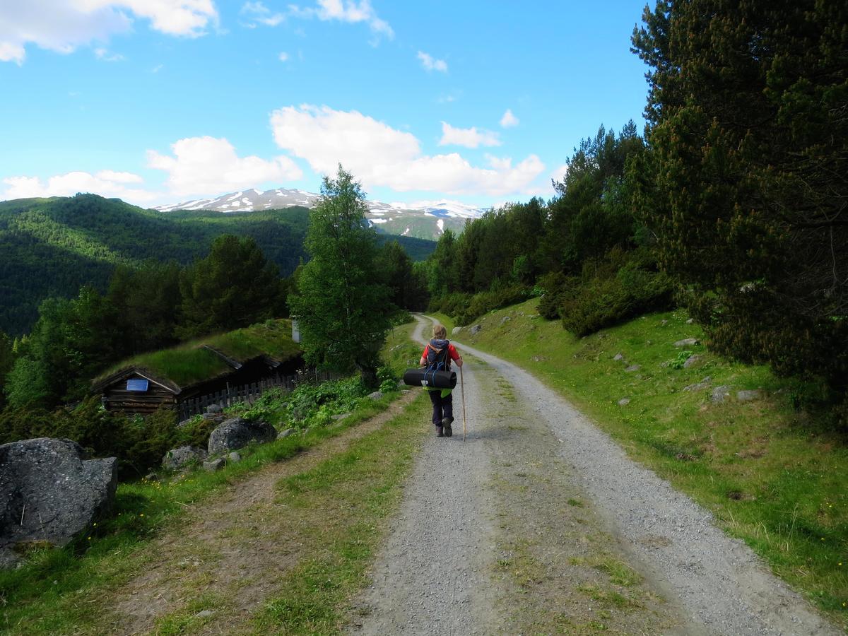 Strind Gard, Visdalssetra Villa Boverdalen Luaran gambar