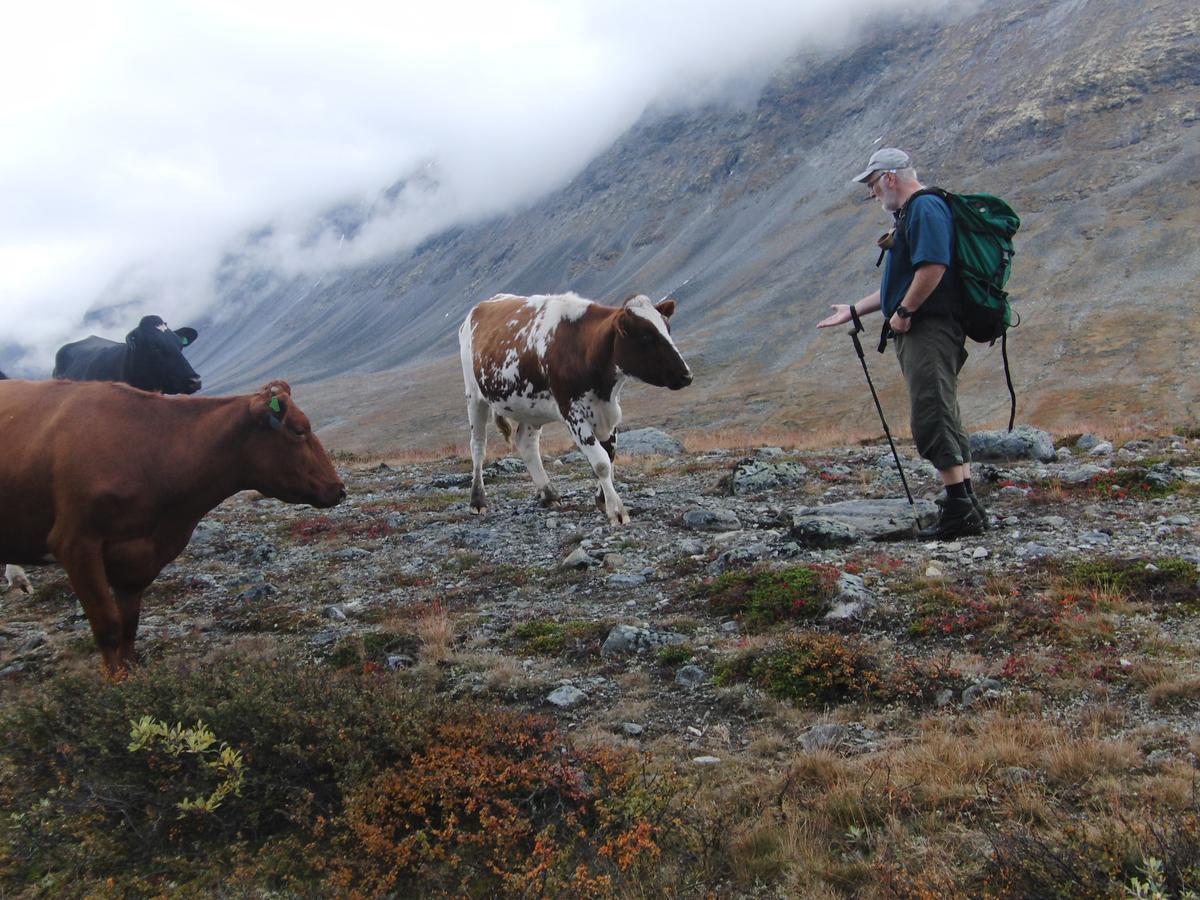 Strind Gard, Visdalssetra Villa Boverdalen Luaran gambar
